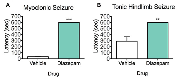 Latency to myoclonic and tonic hindlimb seizure in mice pre-treated with diazepam before PTZ administration.