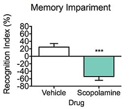 Memory impairment induced with the muscarinic antagonist scopolamine during the novel object recognition test.