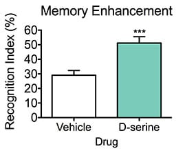 Memory enhancement with D-serine during the novel object recognition test.