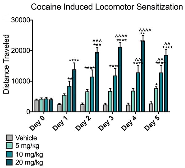 Cocaine increases locomoter activity, measured as distance travelled, in a dose-dependent manner.