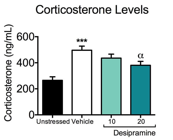 Corticosterone levels in unstressed, vehicle treated and desipramine treateed animals in a chronic mild stress model.