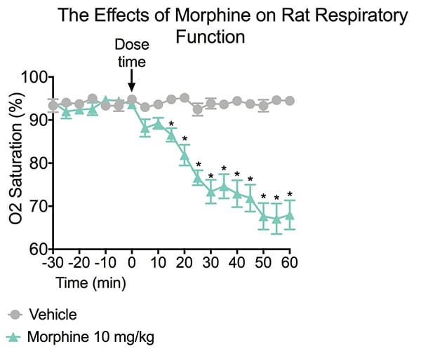 Morphine treatment decreases the percetage oxygen saturation in rats during a respiratory depression assay.