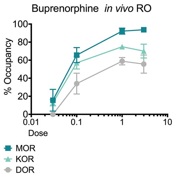 Percentage receptor occupancy of increasing doses of buprenorphine.