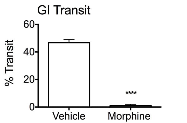 Morphine group displayed a reduction in percent transit of the bolus compared to the vehicle treated mice