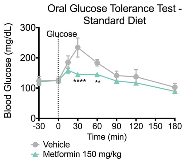 Blood glucose levels during the oral glucose tolerance test in vehicle and metformin treated mice.