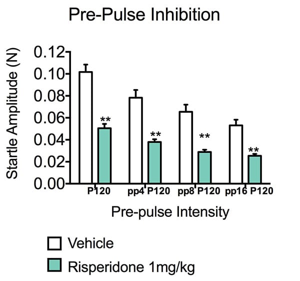 Startle amplitude is decreased in mice treated with respirodone.