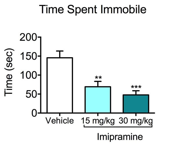 Time spent immobile by vehicle and imipramine treated mice during the forced swim test.